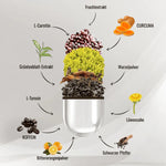 Заредете изображението в програмата за преглед на галерия, GoFitness FemBurn - 120 капсули