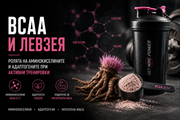 BCAA и левзея – комбинация от аминокиселини с разклонена верига и адаптоген за активно трениращи, мускулна маса, възстановяване и спортна издръжливост