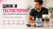 Цинк и тестостерон – GO FITNESS Zinc Bisglycinate и BULLSTERON за мъжко здраве, сила и възстановяване