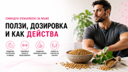 Сминдух (Fenugreek) за мъже – ползи, дозировка и как действа за тестостерона, либидото и спортното представяне