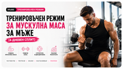 Тренировъчен режим за мускулна маса за мъже (4-дневен сплит)