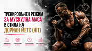Тренировки за мускулна маса в стила на Дориан Йетс (HIT)