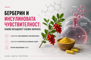 Берберин и инсулиновата чувствителност