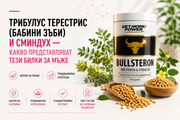 Трибулус терестрис (бабини зъби) и сминдух – традиционно използвани билки за мъже, стандартизирани растителни екстракти и формула Bullsteron за активен начин на живот