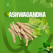 Ашваганда: адаптогенът за по-малко стрес, по-добър сън и по-качествено възстановяване