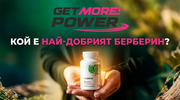 Кой е най-добрият Берберин?
