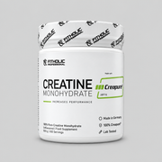 Fitholic Professional Creapure® Creatine Monohydrate – 100% креатин монохидрат, 500 г (100 дози)