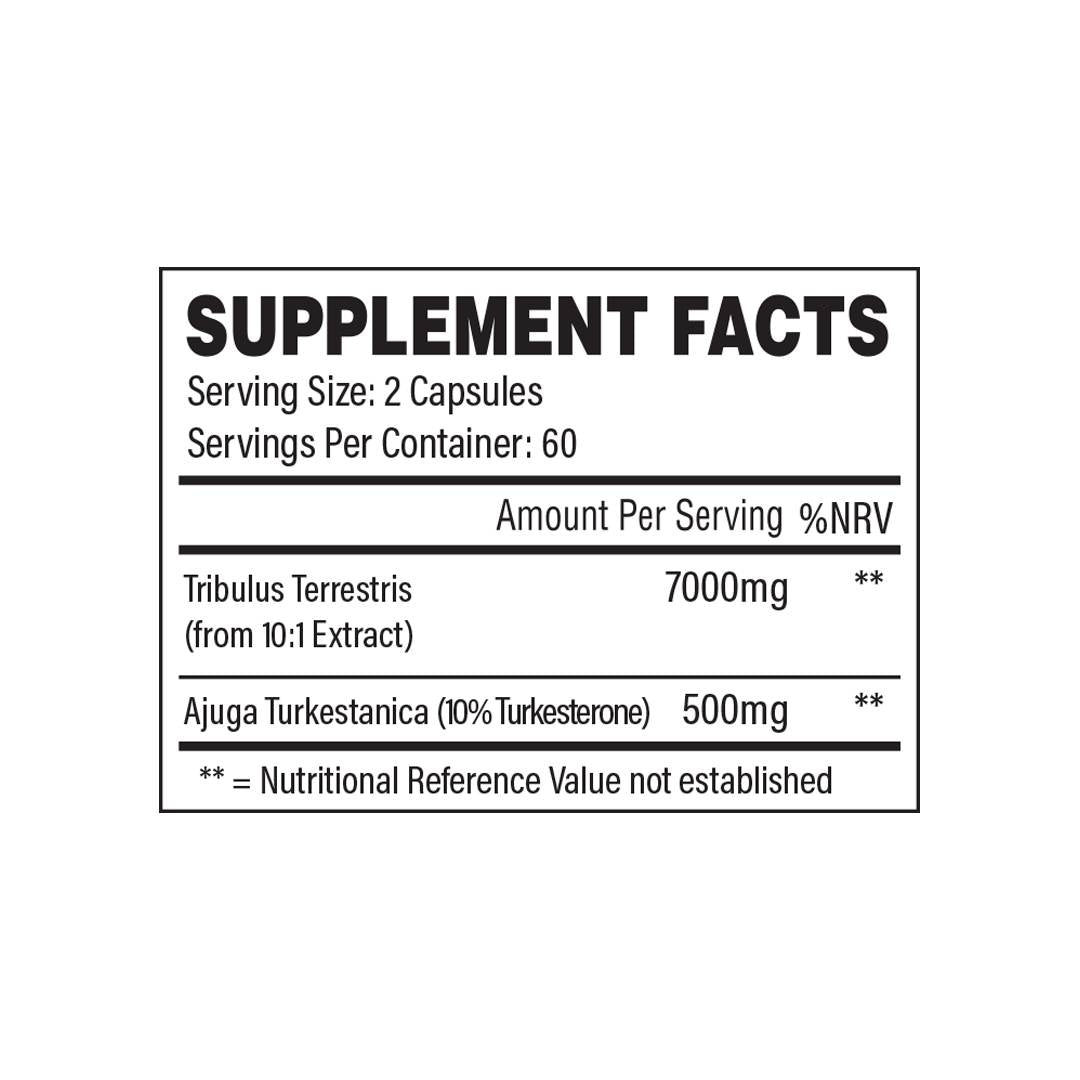 Trained by JP Turk & Trib | with Turkesterone 10% - GetMorePower.bg