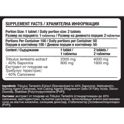 Fitholic Professional Tribulus 4000 Mega Dose – Трибулус Терестрис