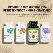 Протокол при Инсулинова Резистентност НИВО 2 • STANDARD  Контрол + ситост: по-стабилен ден, по-малко глад за сладко - GetMorePower.bg